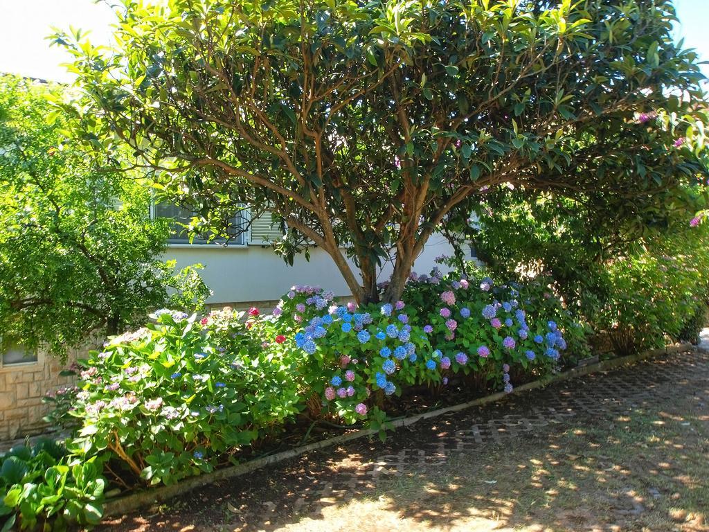 Apartments Vlasta 1410 프레멘투라 외부 사진